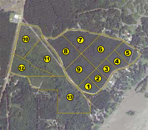 Aerial Tracts 1-13
